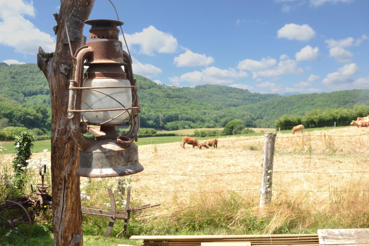 Formidable B&B Saint-Julien-le-Petit Esterno foto